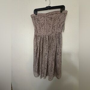 Eva Mendes for New York & Company Strapless Lace Dress in Tan